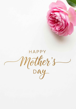 Pink rose and gold text on white background celebrating Mother's Dayの写真素材