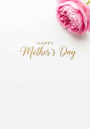 Pink rose and gold text on white background celebrating Mother's Dayの写真素材