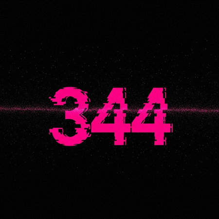 A bold pink number 344 on a black background with a horizontal line