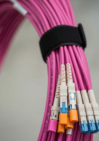 A bundle of pink fiber optic cables with colorful connectors on a gray background