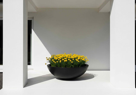 A beautiful black bowl of vibrant yellow flowers on a white surface in a modern design setting.の写真素材