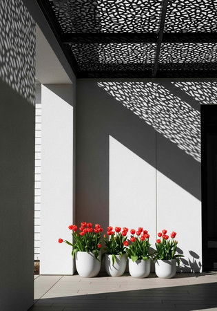 A serene outdoor space featuring vibrant red tulips in white pots under a modern latticed ceilingの写真素材