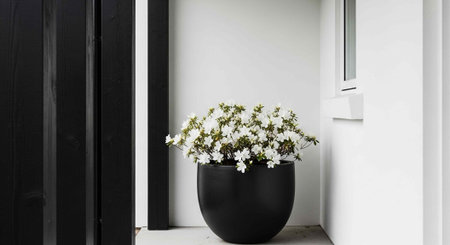 A beautiful black pot with white flowers sits on a windowsill in a modern room with white walls.の写真素材