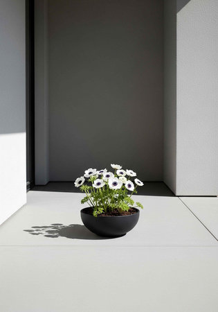 A serene indoor space featuring a black pot with white flowers on a gray floorの写真素材