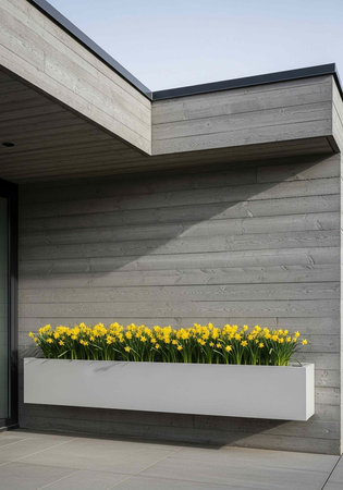 A modern house with a large white planter box filled with vibrant yellow flowers against a gray wooden wallの写真素材