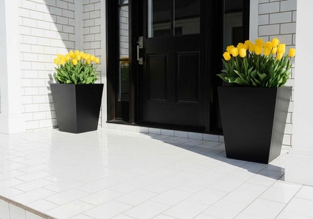 A modern home entrance with two black planters and yellow tulips on a white tiled porchの写真素材
