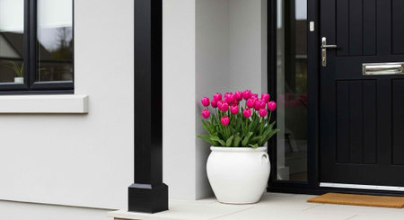 Black door, white walls, and vibrant pink tulips in a white pot on the porchの写真素材