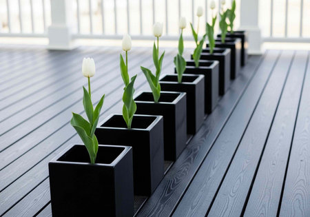 White tulips in black planters on dark wooden deck with white railing in backgroundの写真素材