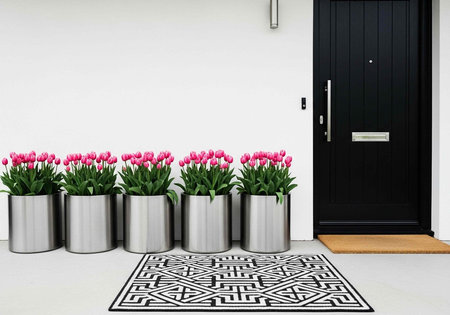 Six silver planters with pink tulips beside a black front door with a geometric doormatの写真素材