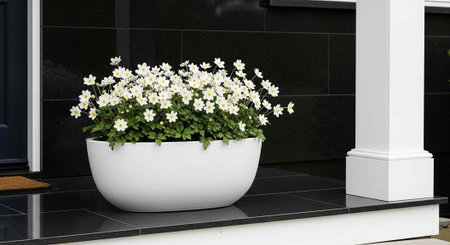 A large white planter with white flowers and green leaves on a black tiled porchの写真素材