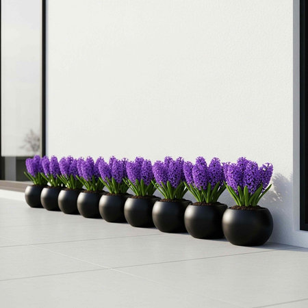 A line of black pots with purple flowers on a gray tile floor against a white wallの写真素材