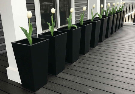 Row of sleek black planters with white tulips on dark wooden porch with white columns and trimの写真素材