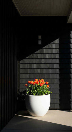 A white pot with bright orange tulips sits on a shaded balcony with dark gray shingles.の写真素材
