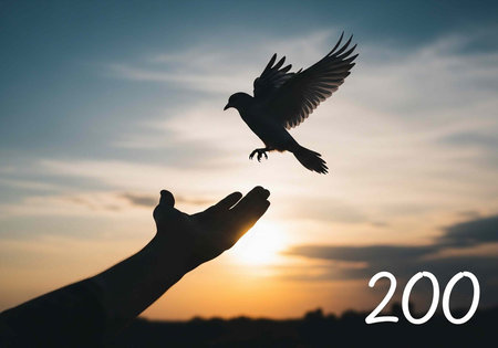 A person's hand releasing a bird into the air at sunset with a beautiful sky background