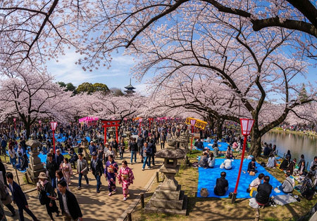 Large crowd of people walking and sitting under blooming cherry blossom trees in a park