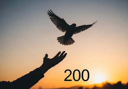 A person's hand releasing a bird into the air at sunset