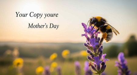 A bee collecting nectar from a purple flower in a field of lavender on Mother's Day