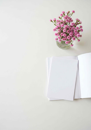 A serene still life of pink flowers in a vase with an open book on a white backgroundの写真素材
