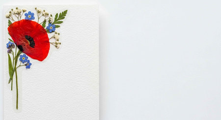A beautiful red poppy flower with blue and white flowers on a white background