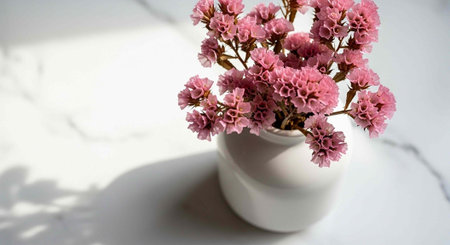 A white vase holds pink flowers on a marble surface with natural light and shadows.