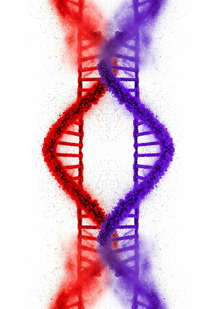 Illustration of two intertwined DNA strands in red and purple hues on a white speckled background