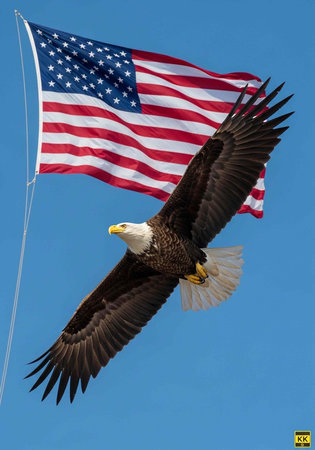 A bald eagle soars in front of a waving flag against a clear blue sky.の写真素材