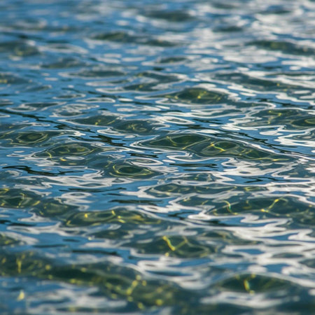 A serene body of water with gentle ripples and sunlight reflections on its surface in a natural settingの写真素材