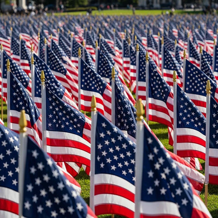 A field of American flags stands proudly in a grassy area on a sunny day with a blurred background.