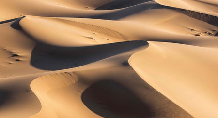 Aerial view of rolling sand dunes with shadows and smooth curves in a desert