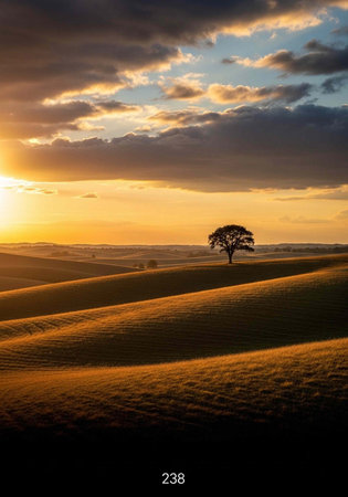 A solitary tree stands on a hill with golden grass under a vibrant sunset with clouds