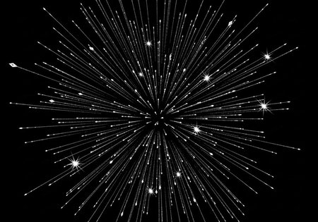 A stunning visual representation of fireworks exploding in the darkness of night