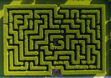 Aerial view of a person standing in a large green maze with intricate paths and hedges.