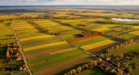 Aerial view of a vibrant rural landscape with patchwork fields and trees under a cloudy sky
