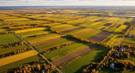 Aerial view of a vast agricultural landscape with patchwork fields and trees under a cloudy sky