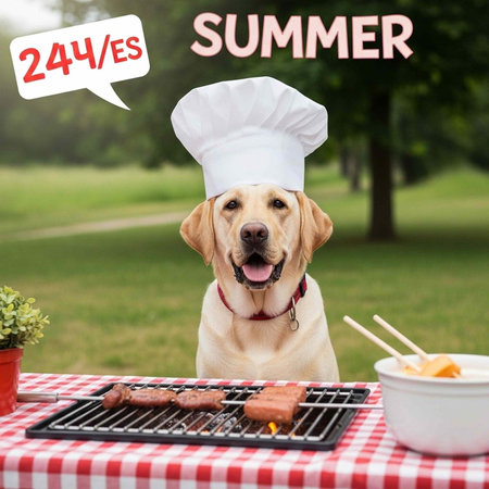 Yellow labrador dog in chef hat sitting behind grill with meat on red checkered table outdoorsの写真素材