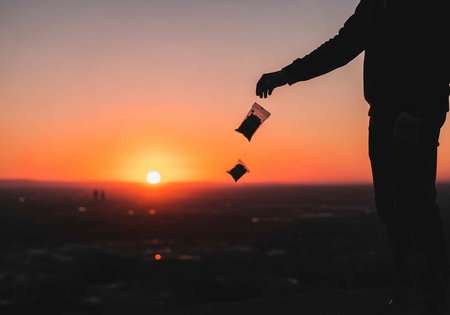 A person throwing money into the air during a beautiful sunset over a cityscape