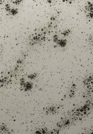 Gray background with black spots and bubbles of various sizes, creating a unique texture