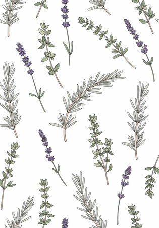 A beautiful illustration of lavender and rosemary herbs on a white backgroundの写真素材