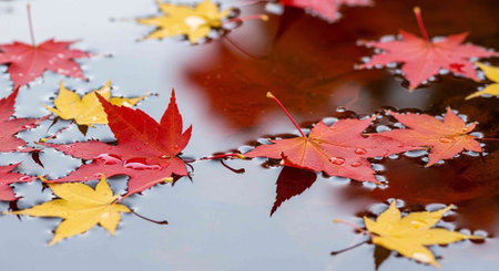 A serene autumn scene with colorful leaves floating on a peaceful body of water with droplets of water on them