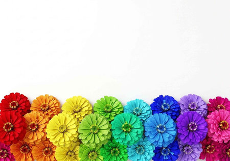 Colorful paper flowers in rainbow hues arranged in a horizontal border on white