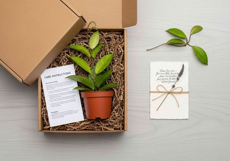 A small potted plant in a cardboard box with care instructions and a gift card on a wooden surface