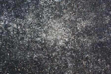 lichenの写真素材