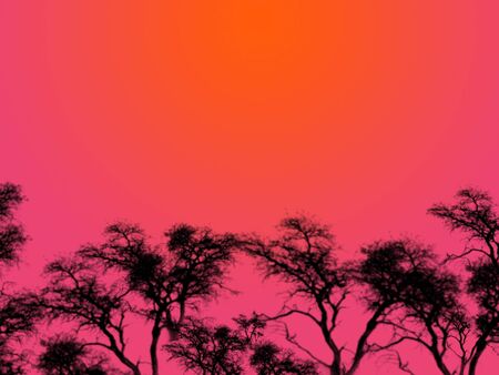 An illustration of tree silhouettes over a red sky at night.の写真素材