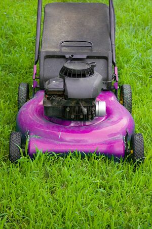 A pink lawn mower cutting through the green grass.の写真素材