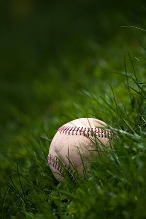 One aged and worn baseball sitting in the green grass.の写真素材