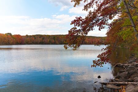 A gorgeous autumn scene with a lake and trees showing the bright colors of fall in New England.の写真素材