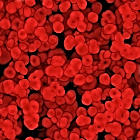 Red microorganisms or blood cells illustration that tiles seamlessly as a pattern in any direction.の写真素材