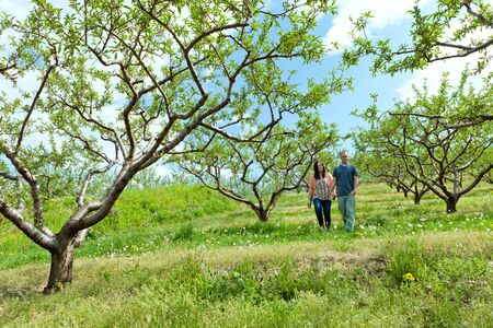 Young happy couple enjoying each others company outdoors walking through an orchard.の写真素材