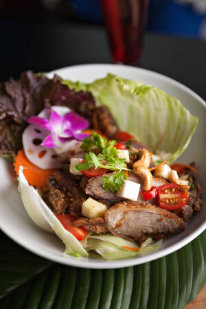 Thai Salad with Crispy Duck and fresh green mango tomatoes and cashew nuts on a bed of lettuce.の写真素材