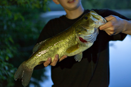 Teenager holds up his catch of a largemouth bass by the spot he was fishing. Shallow depth of field.